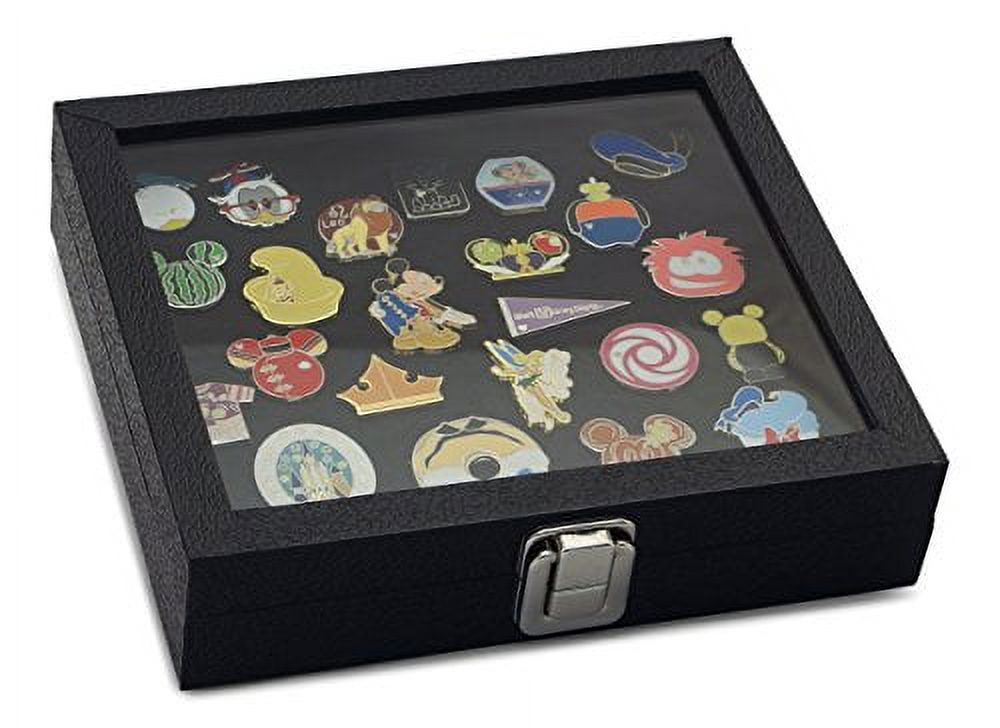 Pin Collector's Compact Display Case by Hobbymaster -- for Disney, Hard  Rock, Olympic, Political Campaign & other collectible pins, holds 20-50  pins (Black) 